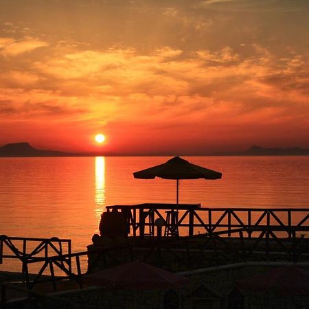 Alkionis Beach Hotel Apartments Sfáka المظهر الخارجي الصورة