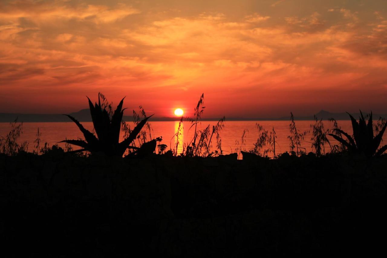 Alkionis Beach Hotel Apartments Sfáka المظهر الخارجي الصورة