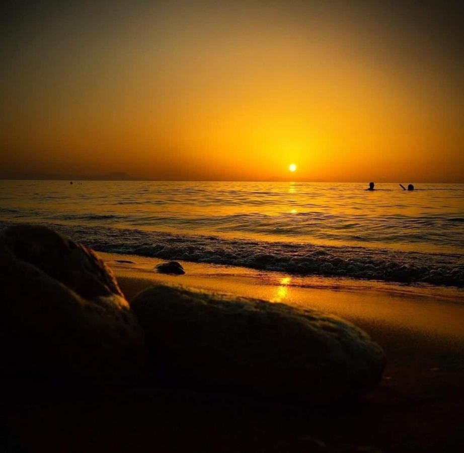 Alkionis Beach Hotel Apartments Sfáka المظهر الخارجي الصورة